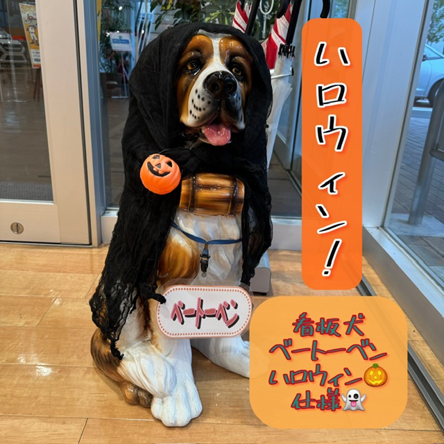 Dモール月島店🌙看板犬紹介🐶 | ダイハツ東京